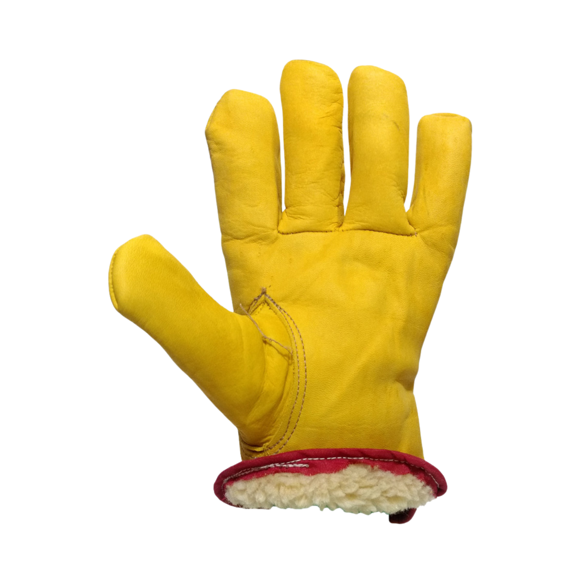 Tres Leones Seguridad