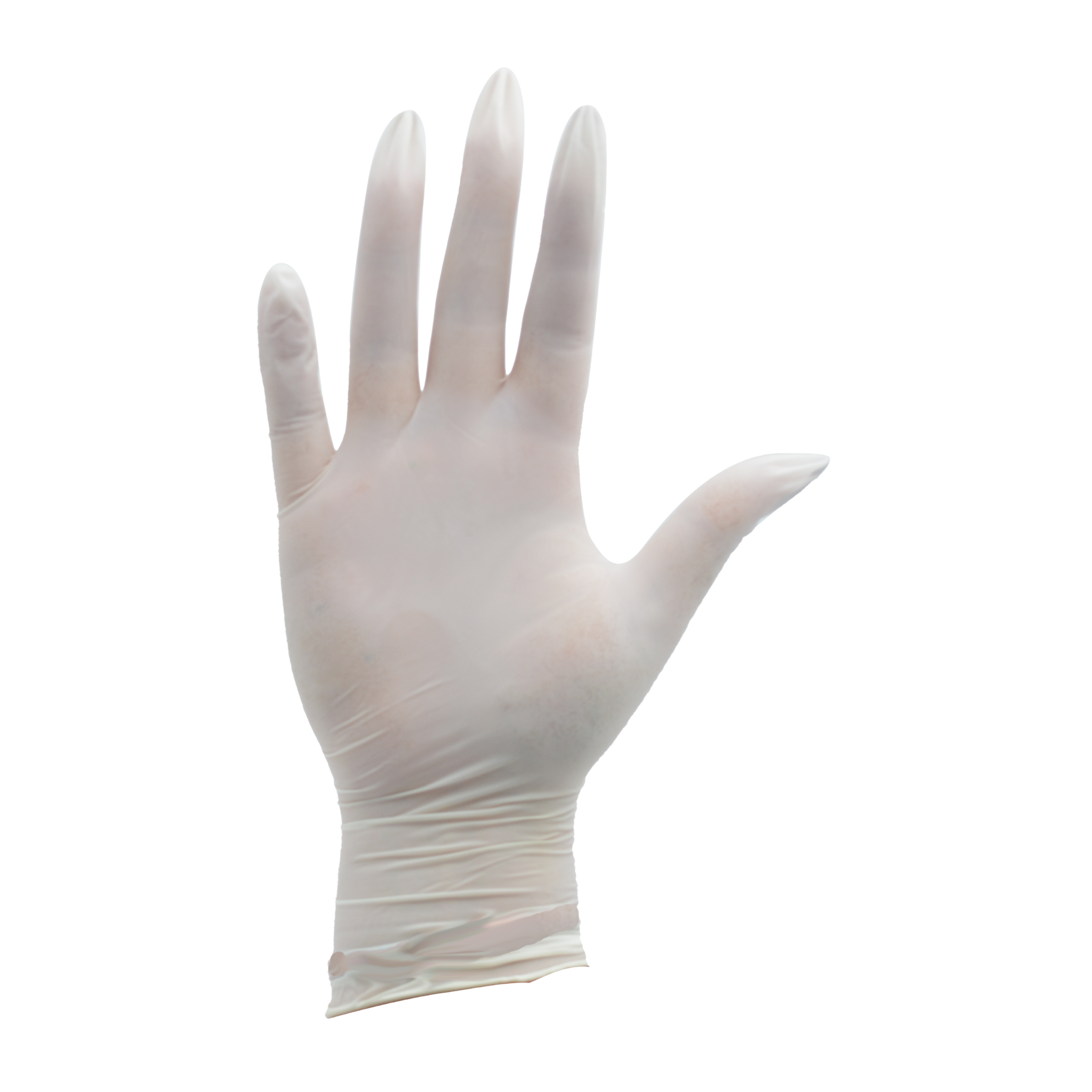 Tres Leones Seguridad