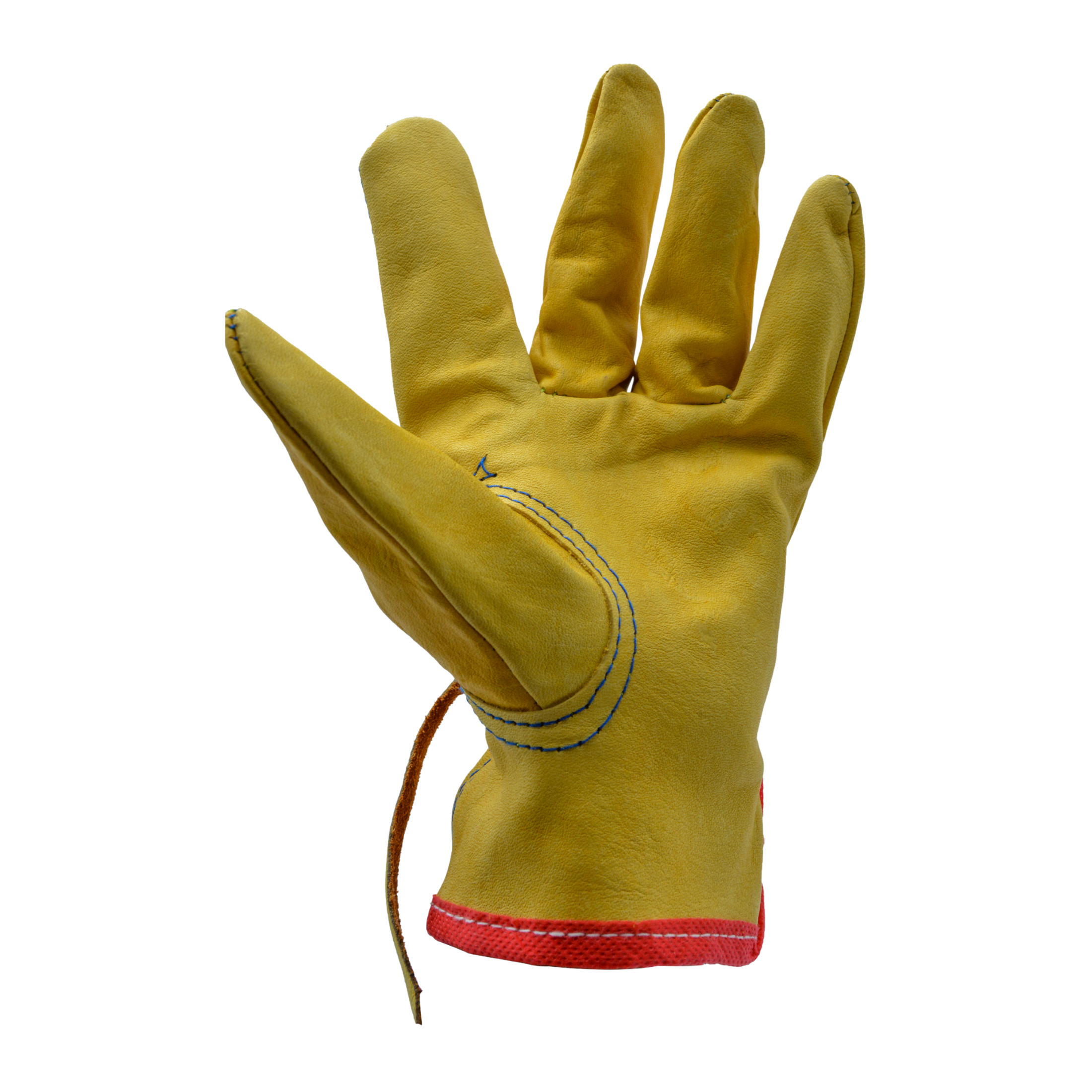 Tres Leones Seguridad