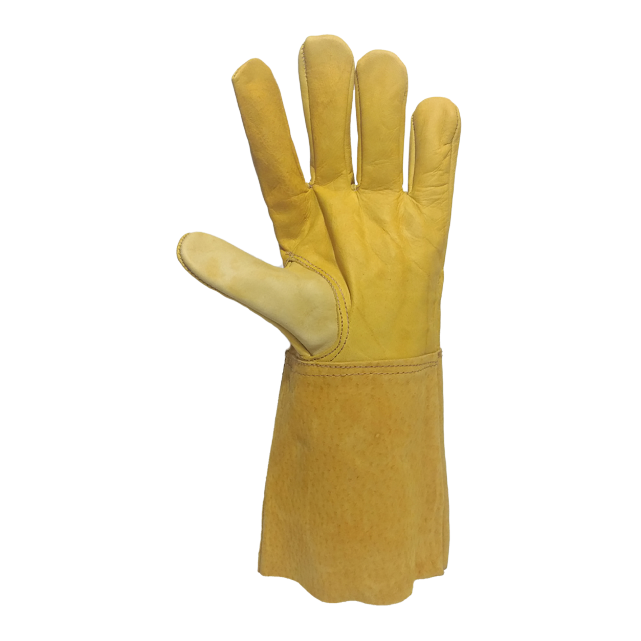 Tres Leones Seguridad