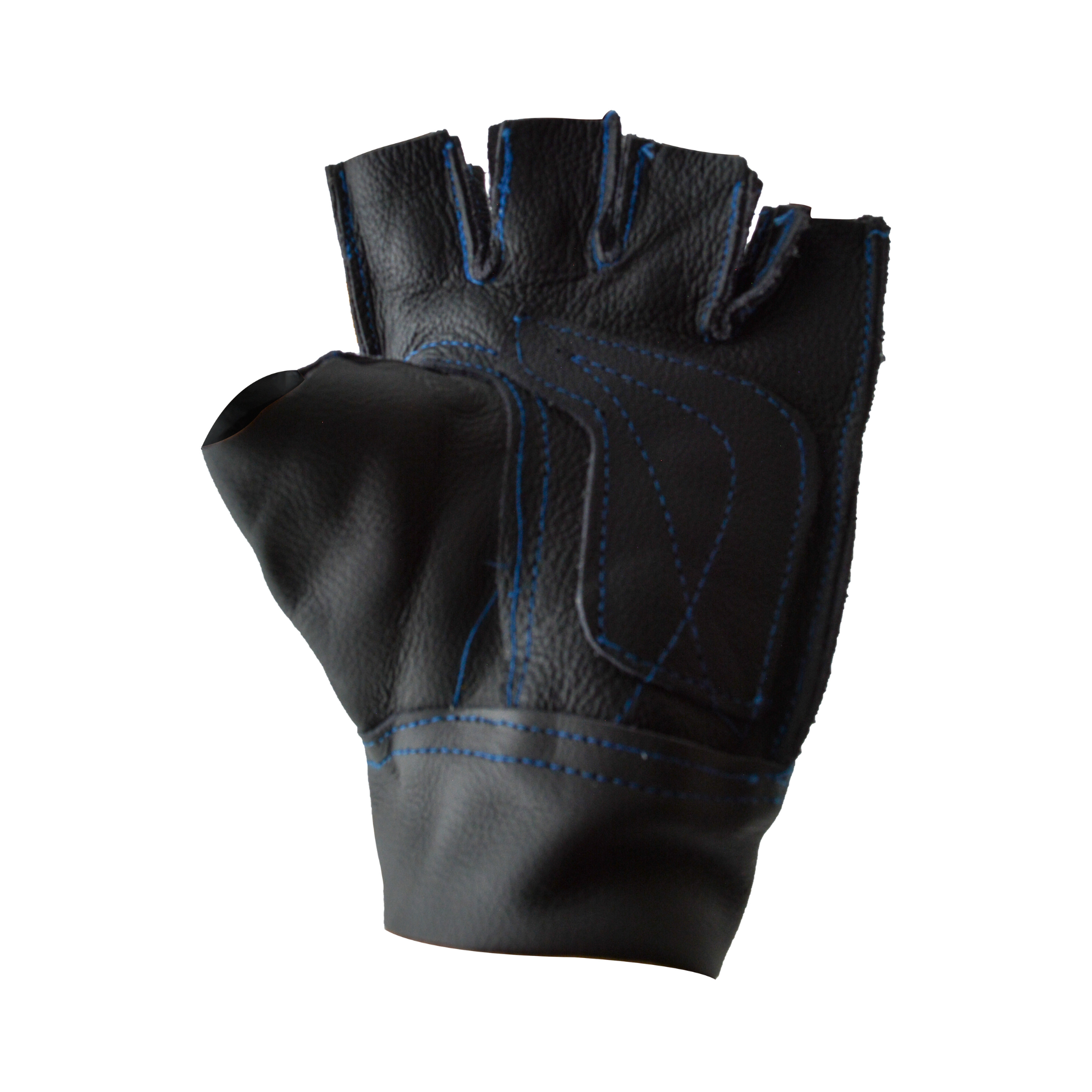 Tres Leones Seguridad