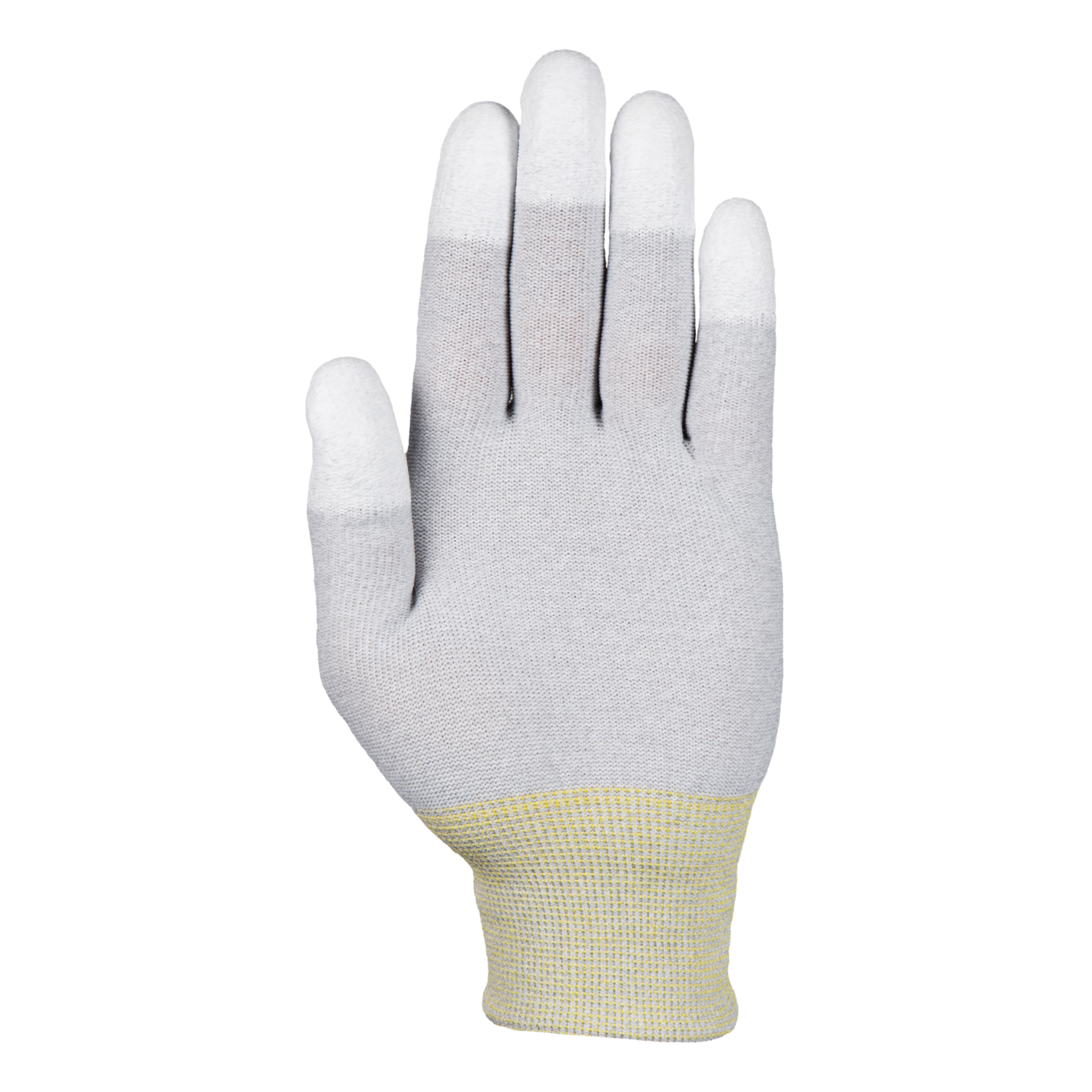 Tres Leones Seguridad