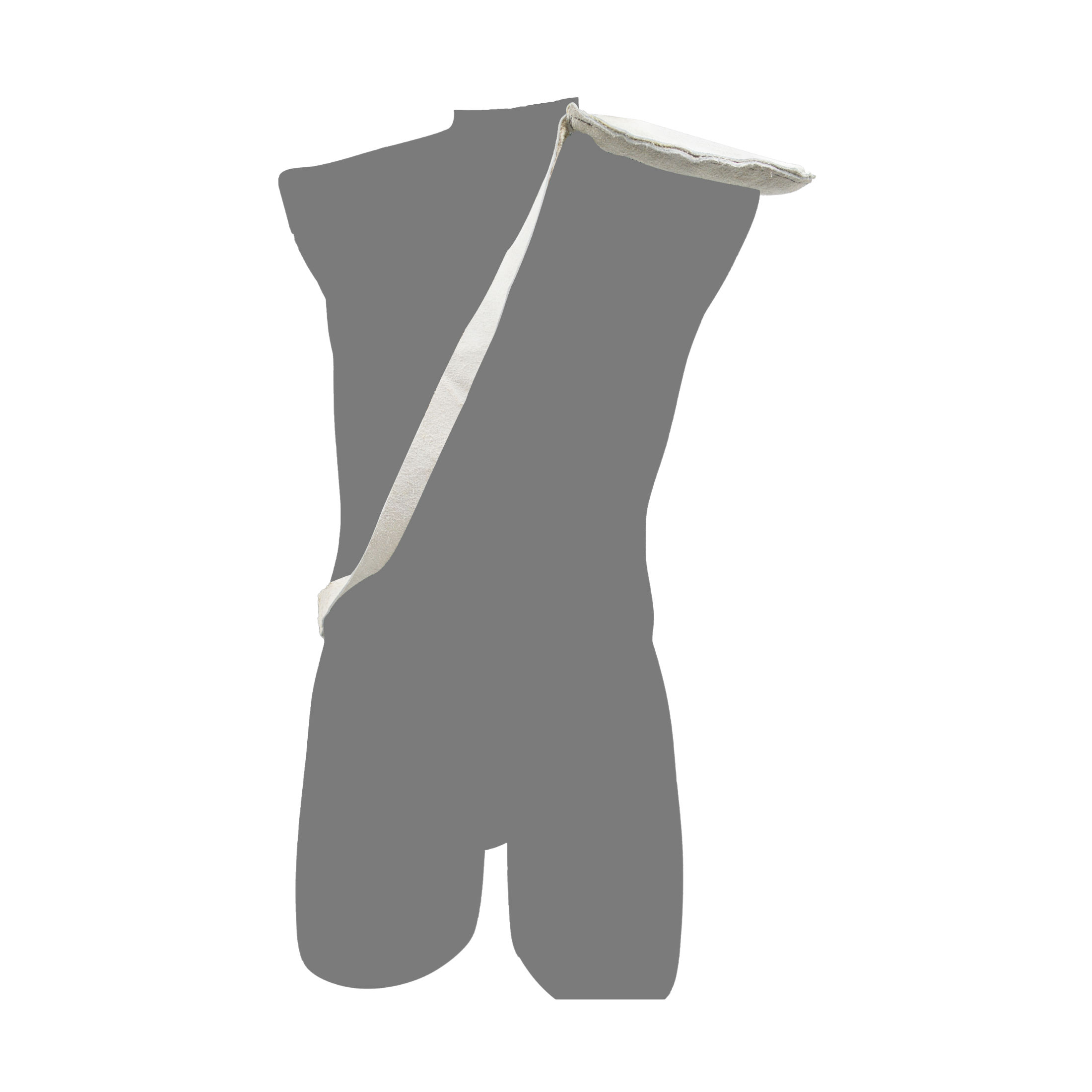 Tres Leones Seguridad