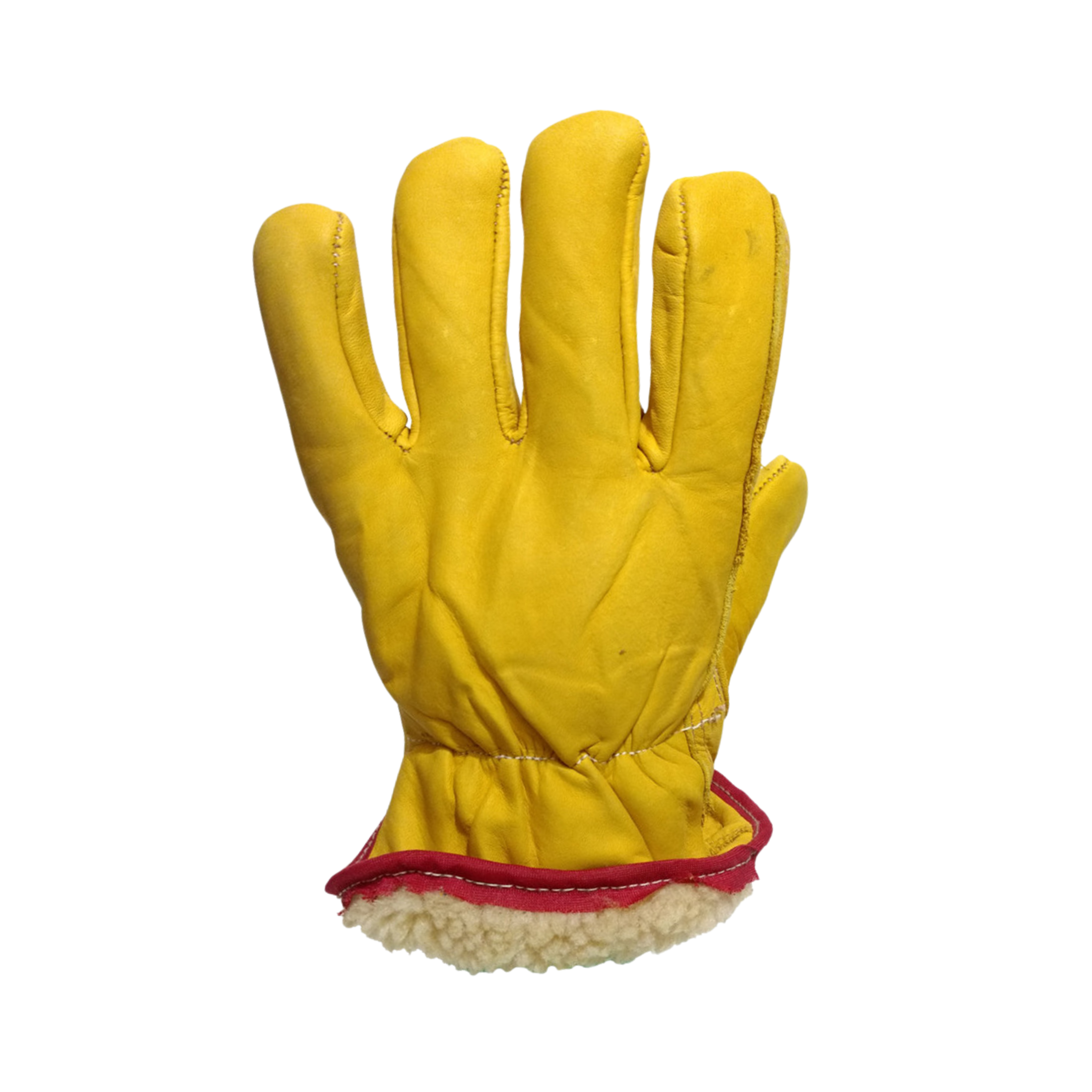 Tres Leones Seguridad