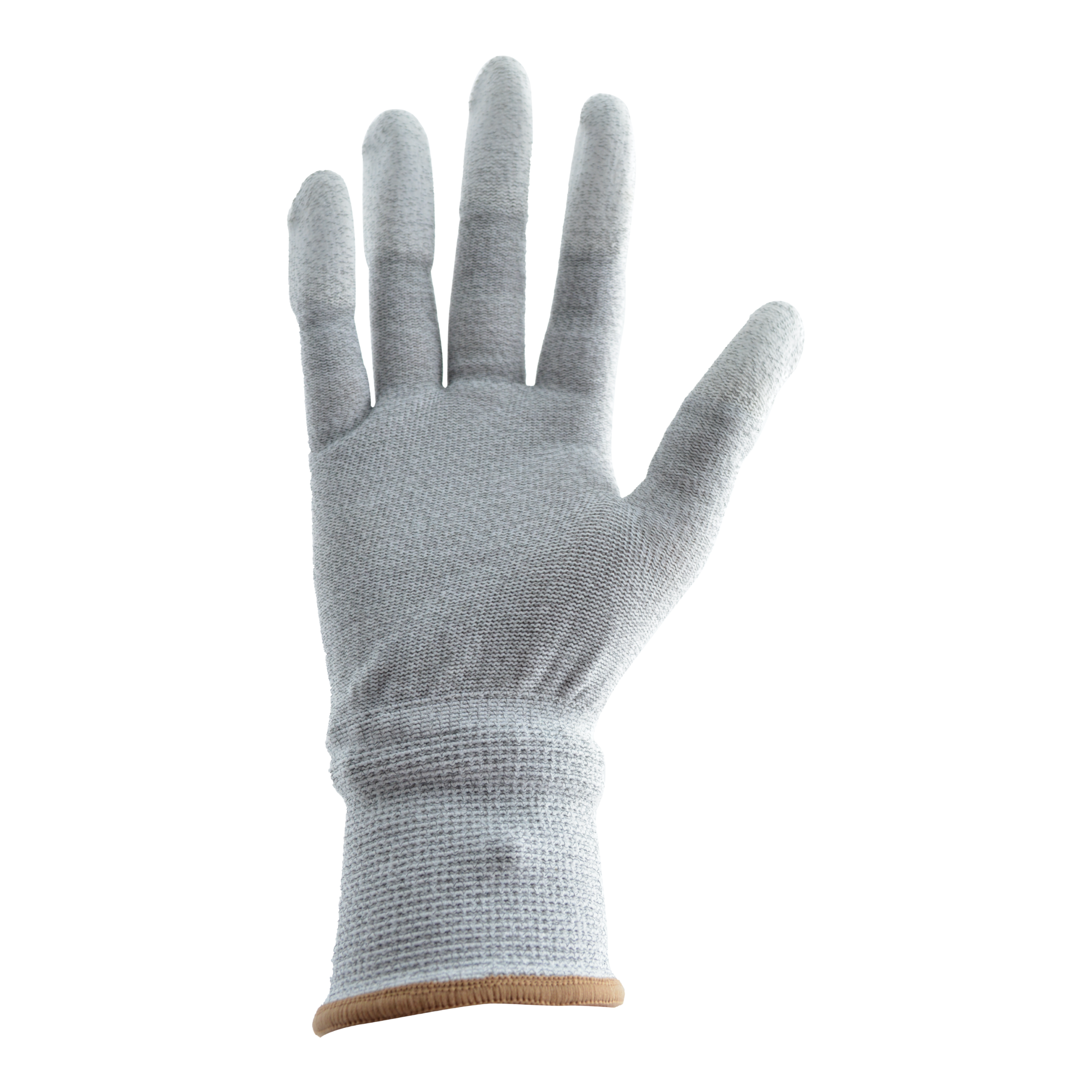 Tres Leones Seguridad