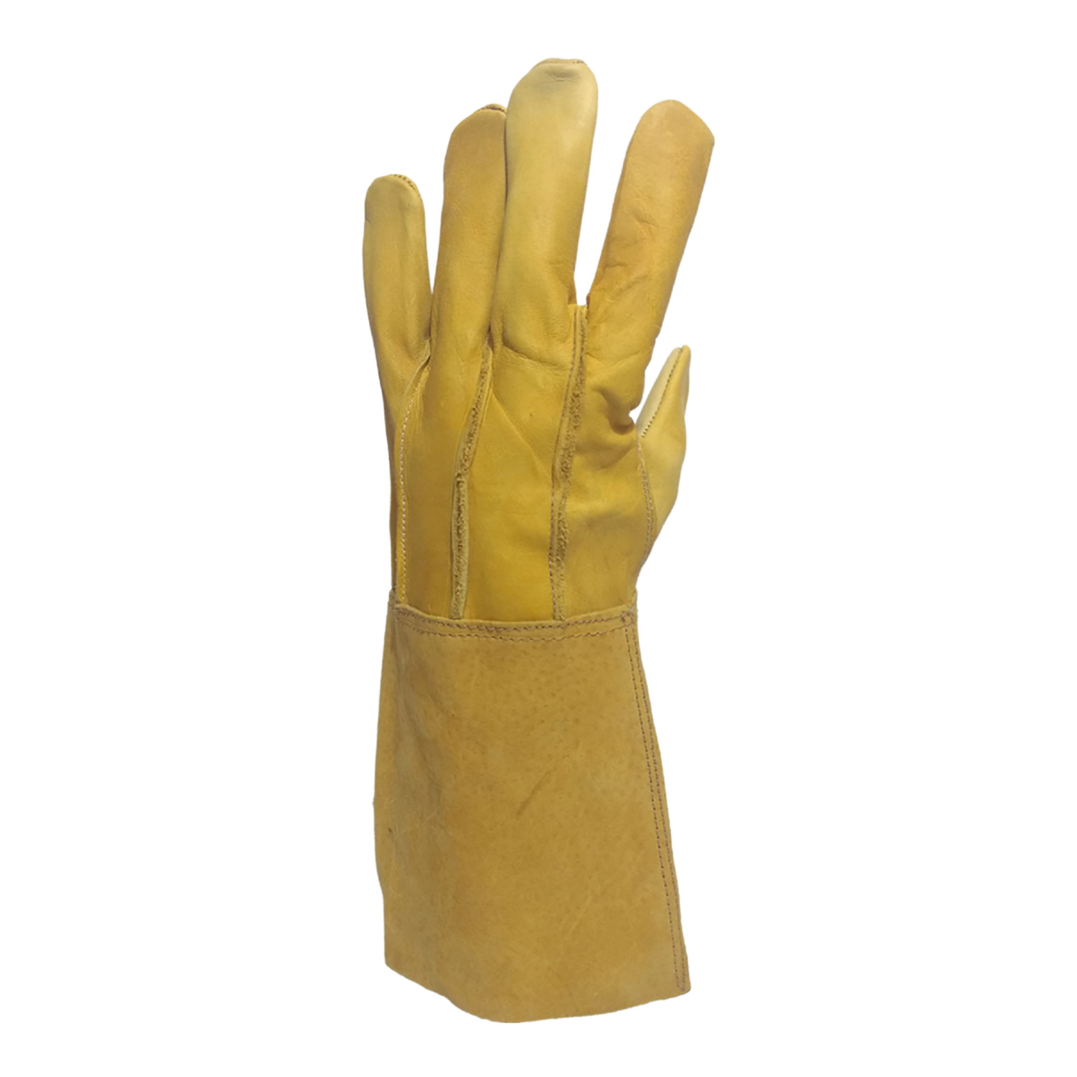 Tres Leones Seguridad