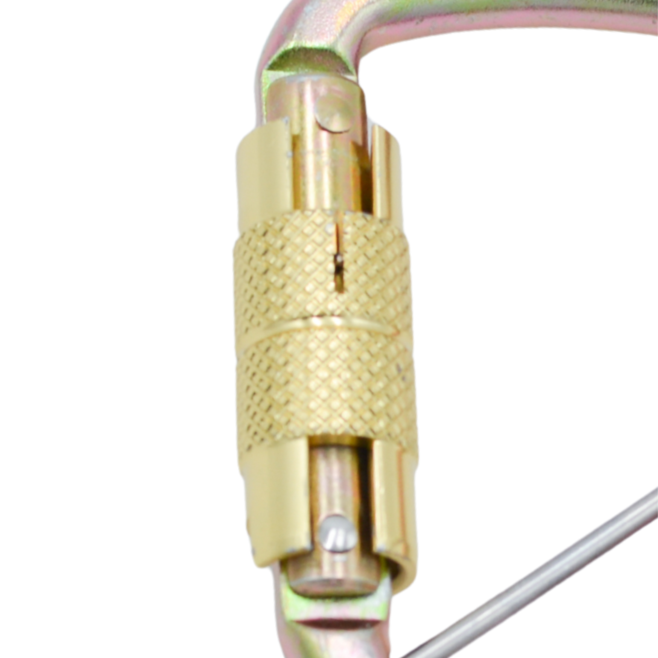 Tres Leones Seguridad