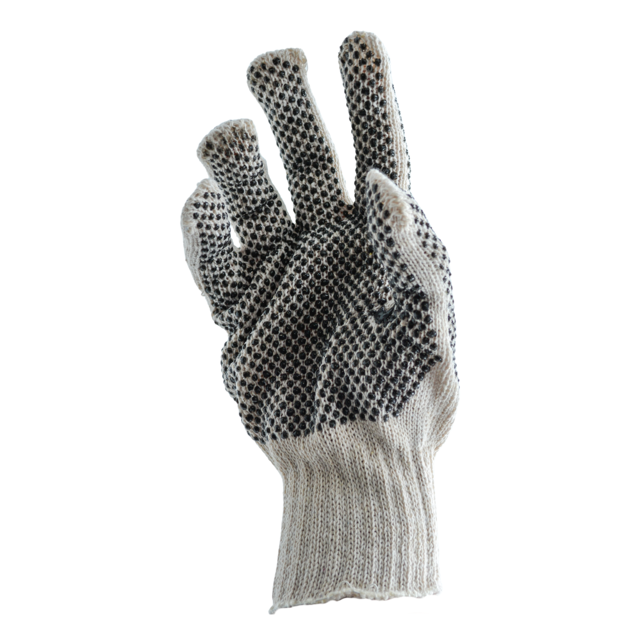 Tres Leones Seguridad