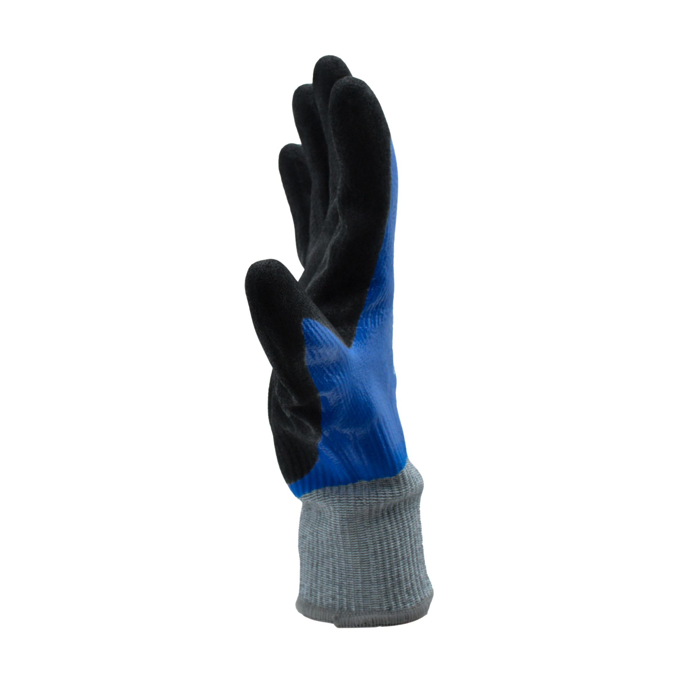 Tres Leones Seguridad