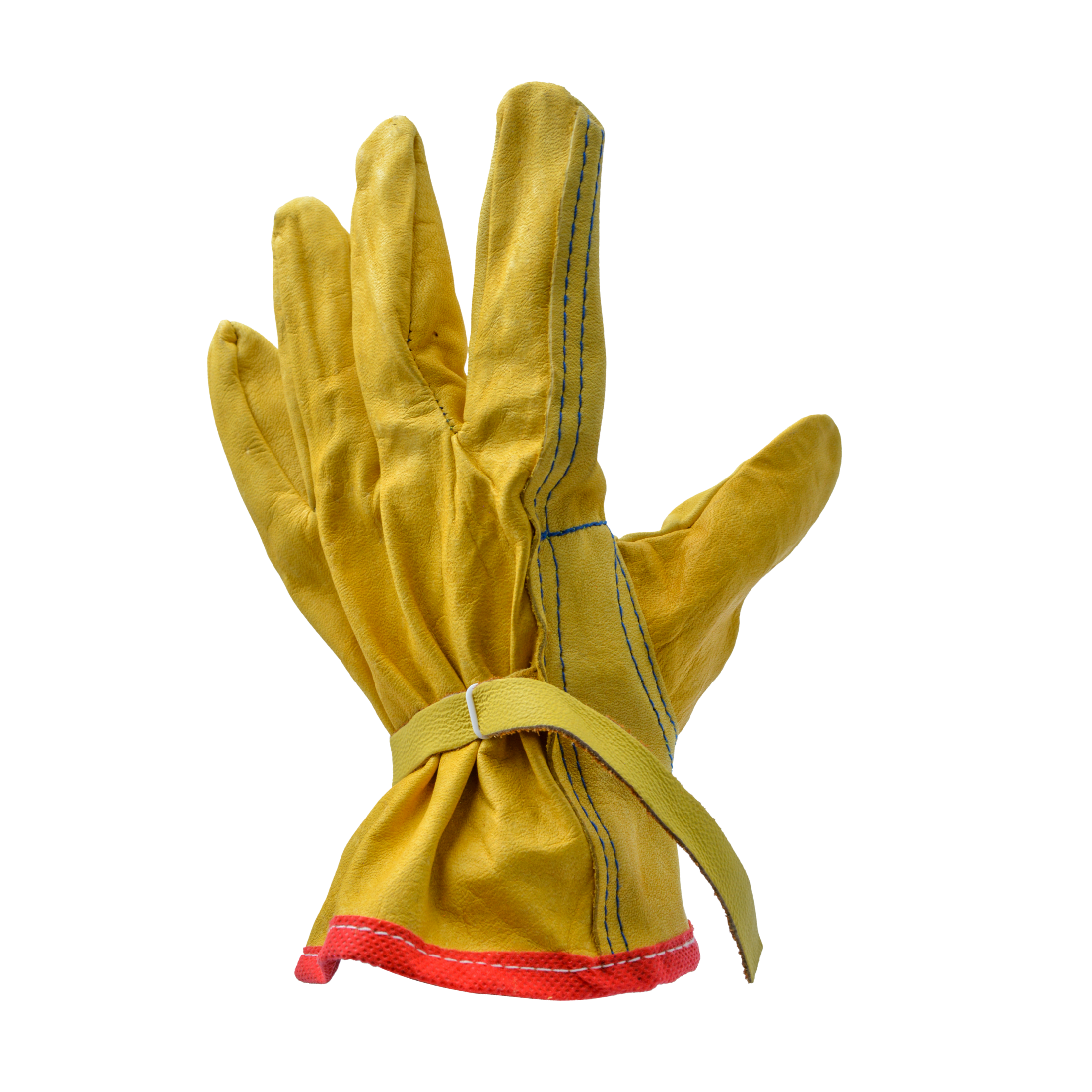 Tres Leones Seguridad