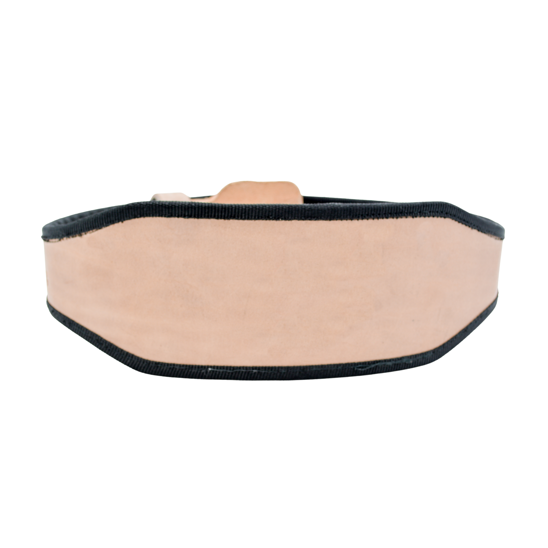 Tres Leones Seguridad