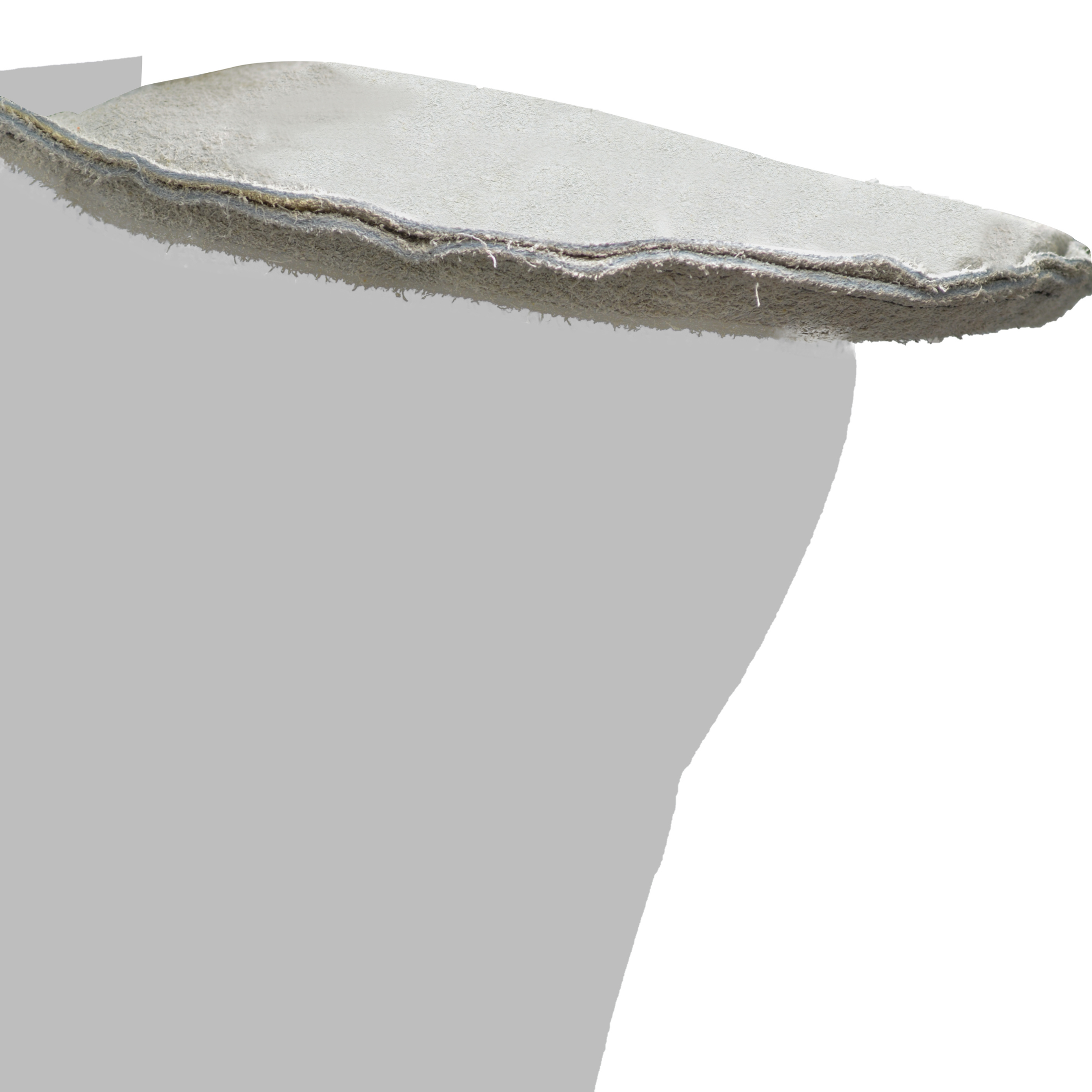 Tres Leones Seguridad