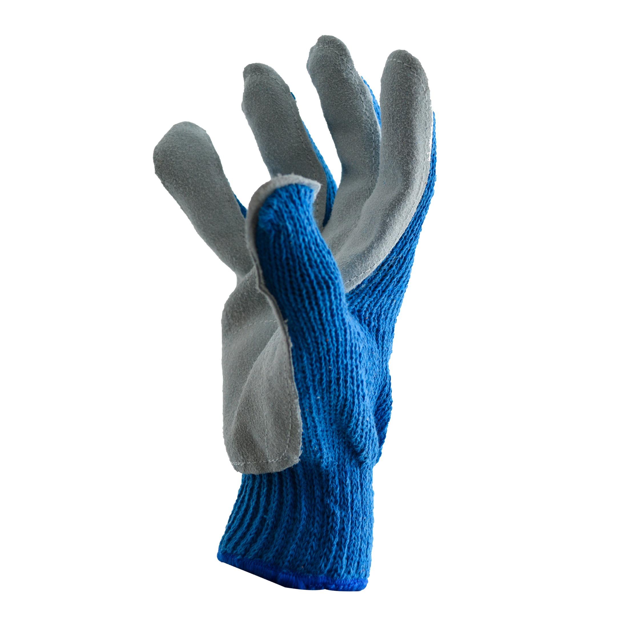 Tres Leones Seguridad