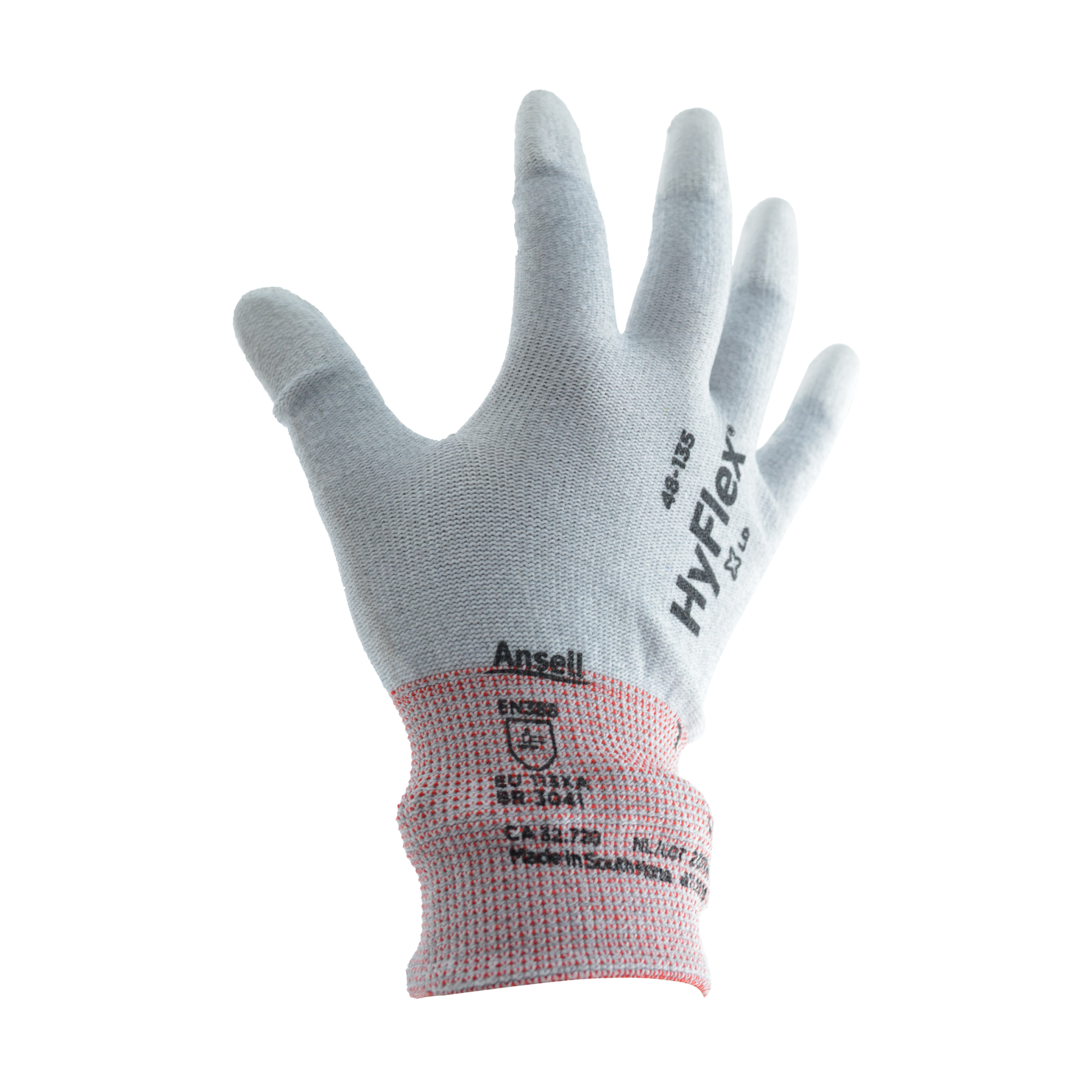 Tres Leones Seguridad