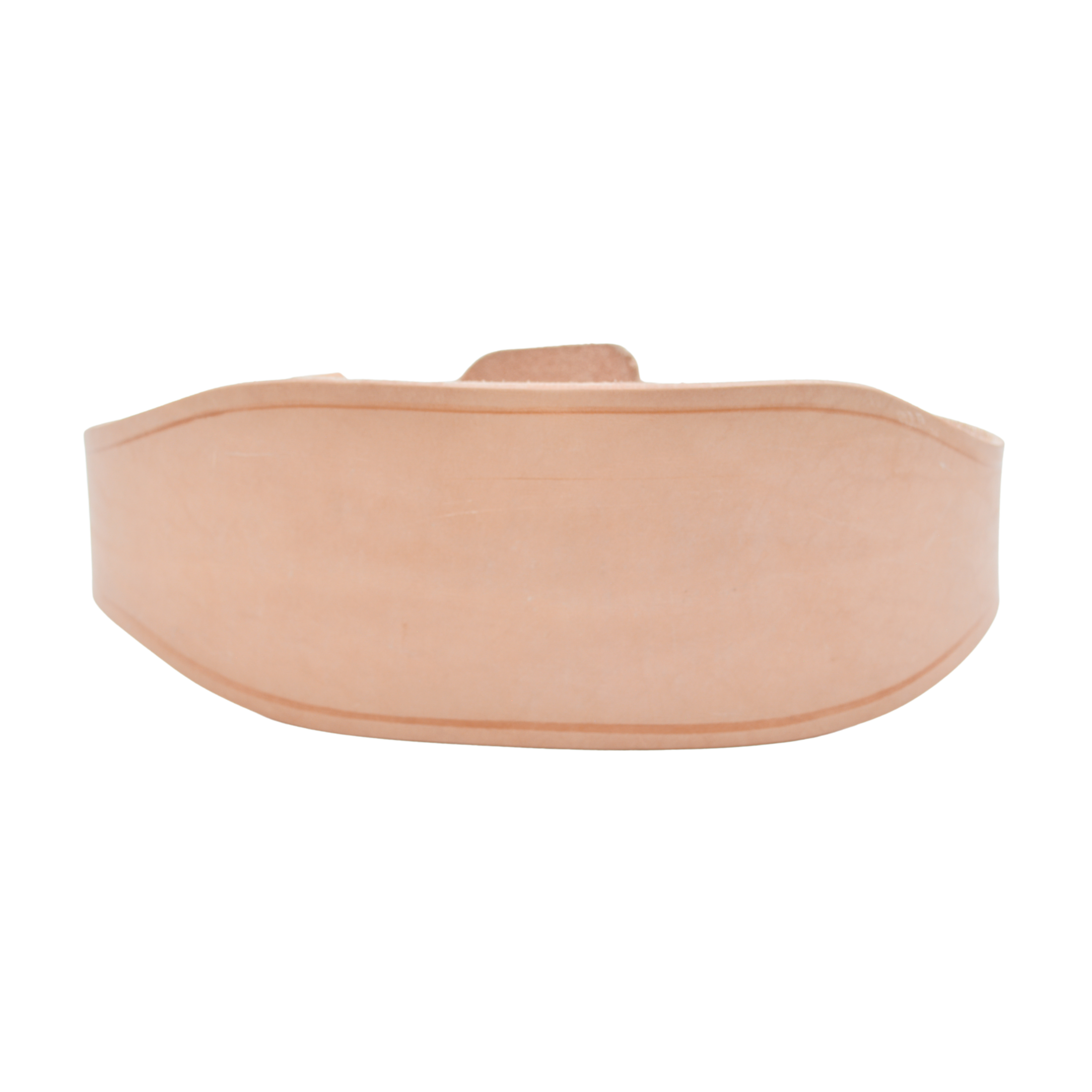 Tres Leones Seguridad