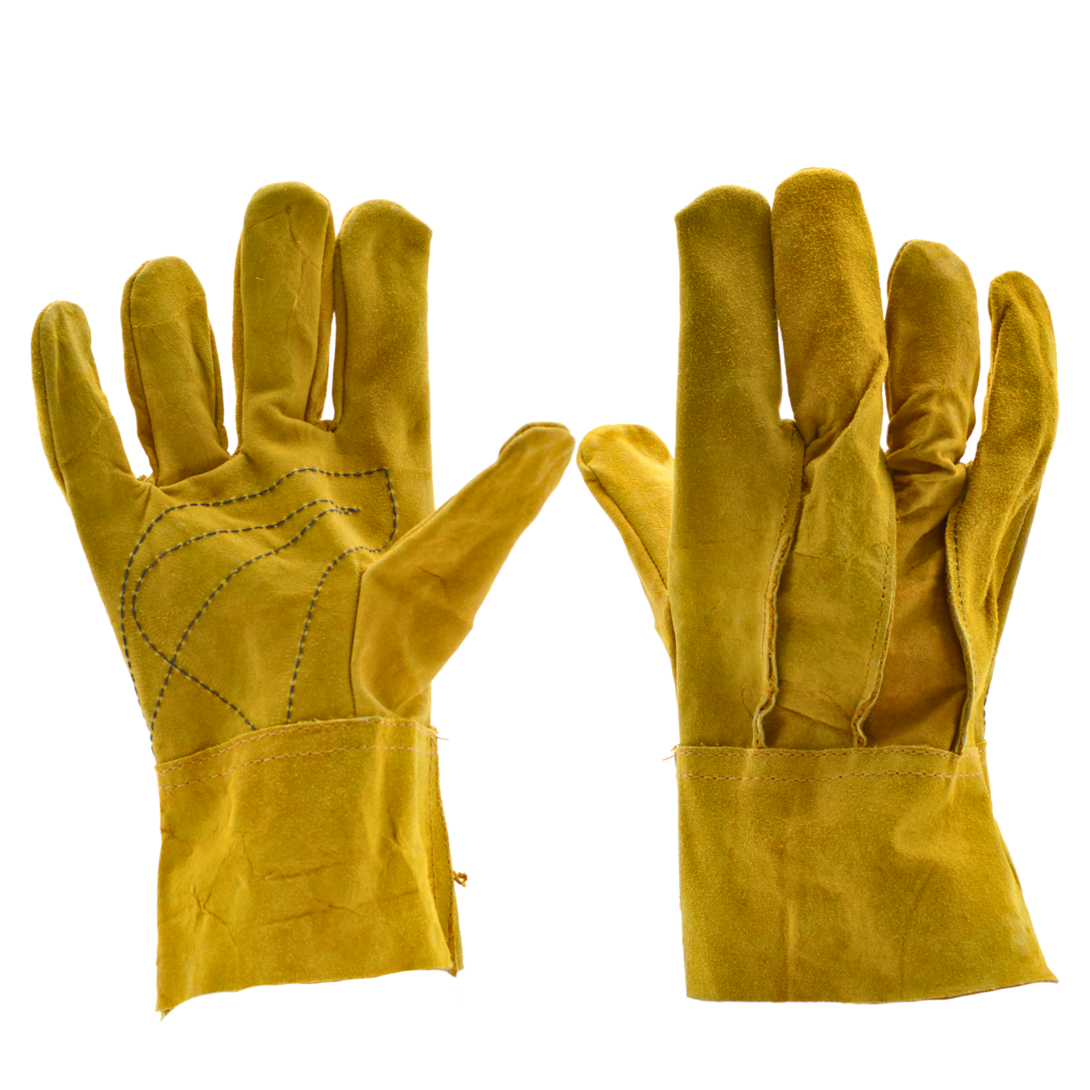 Tres Leones Seguridad