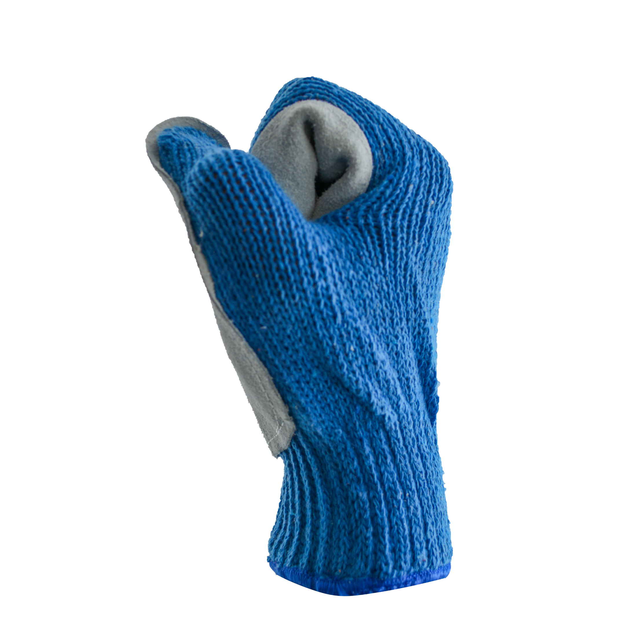 Tres Leones Seguridad