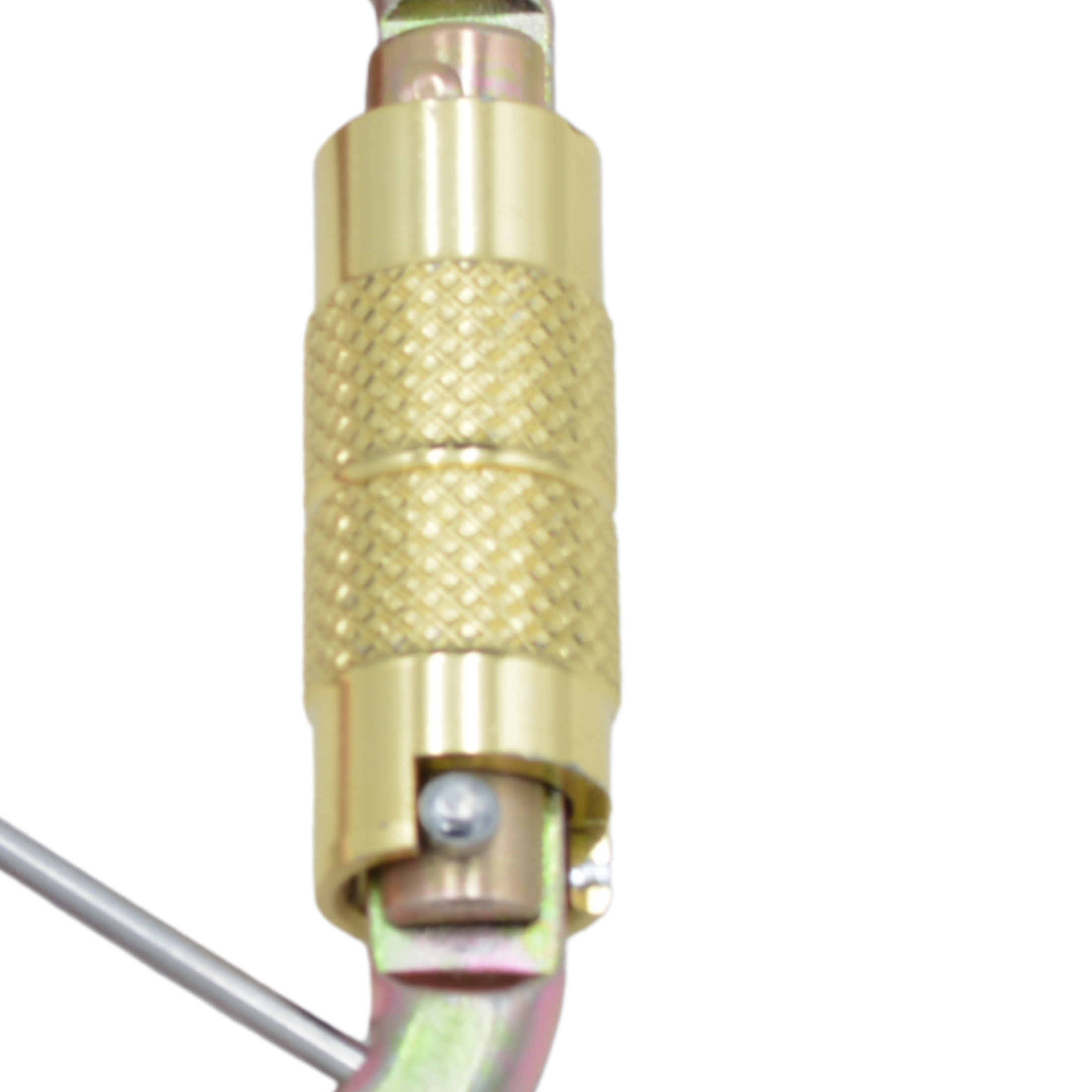 Tres Leones Seguridad