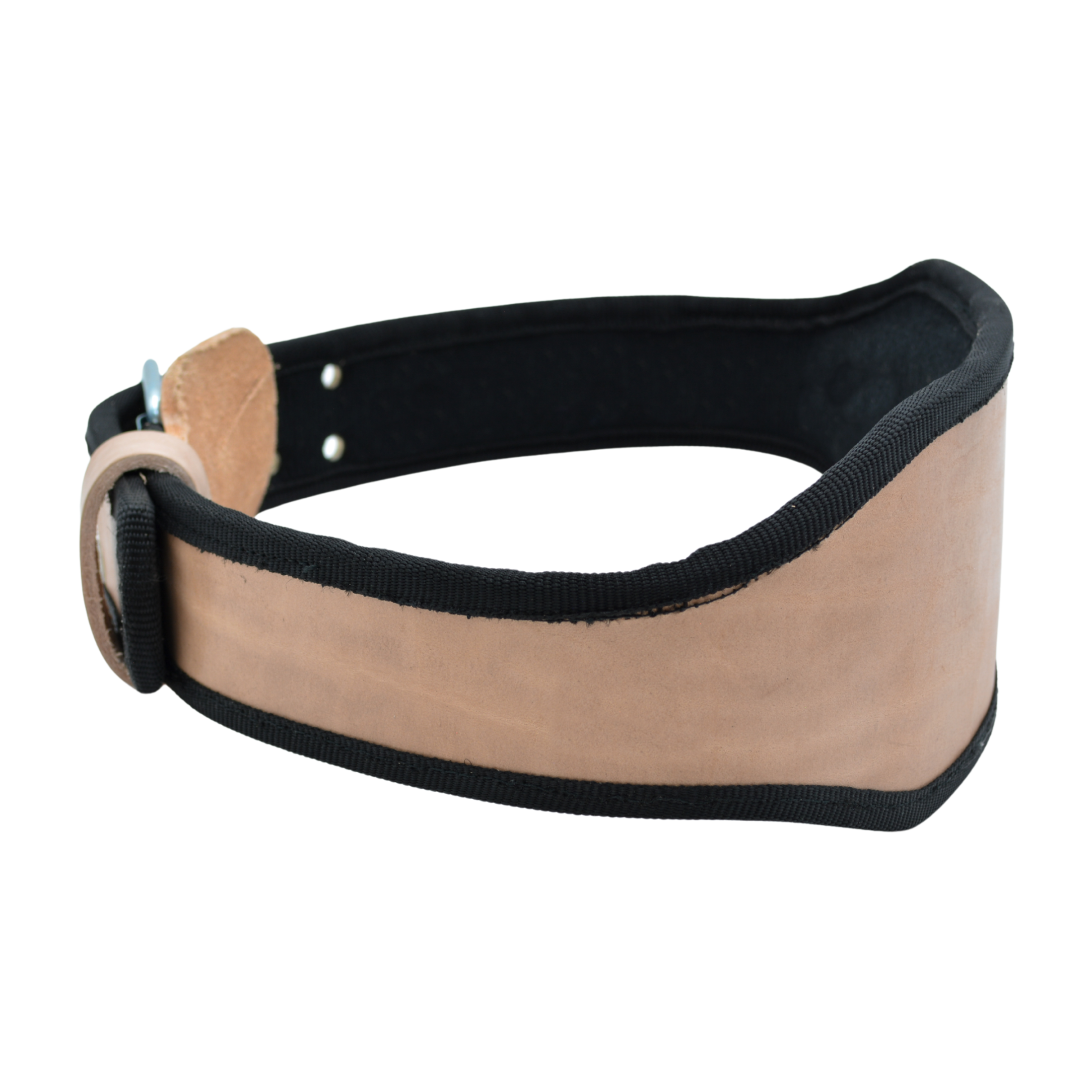 Tres Leones Seguridad