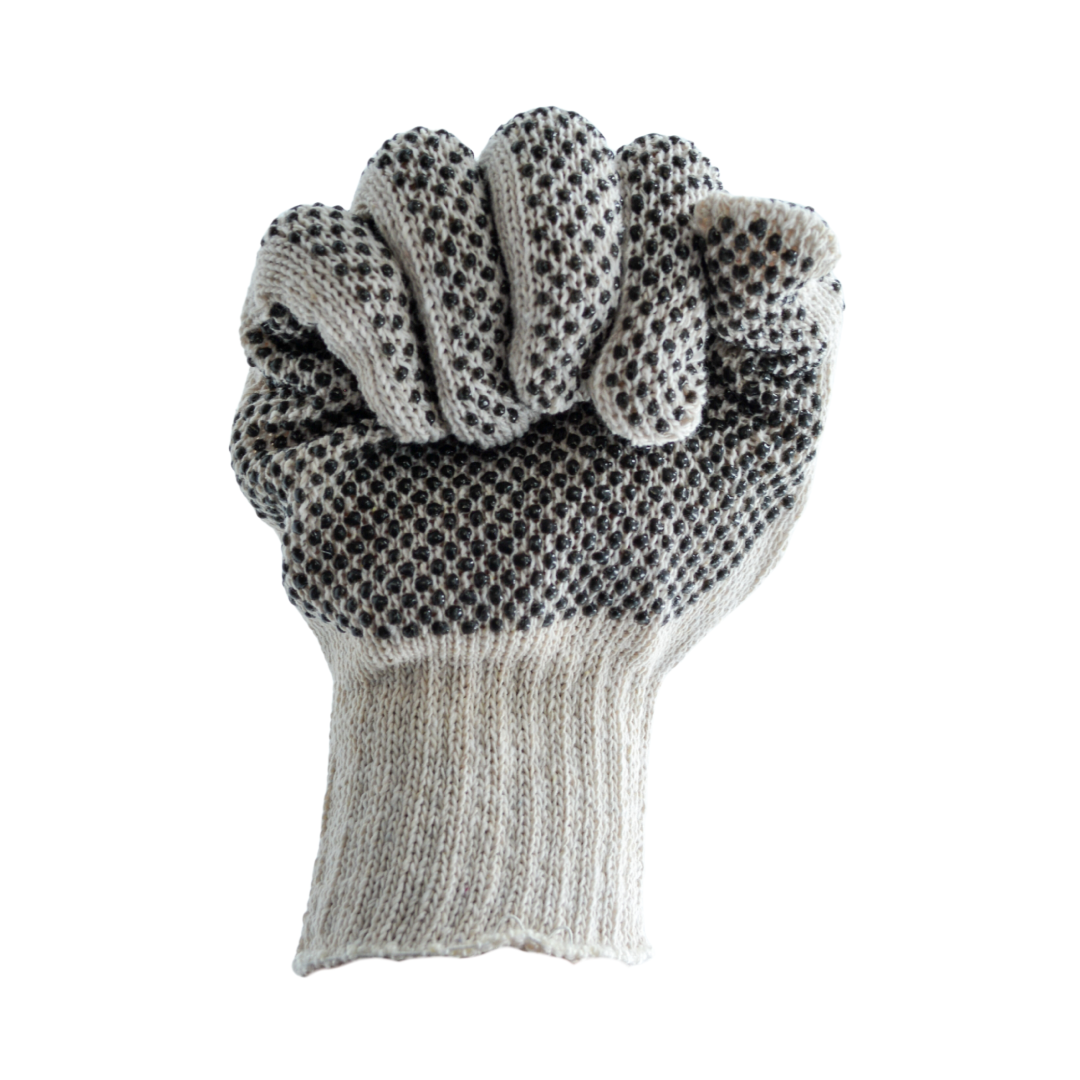 Tres Leones Seguridad