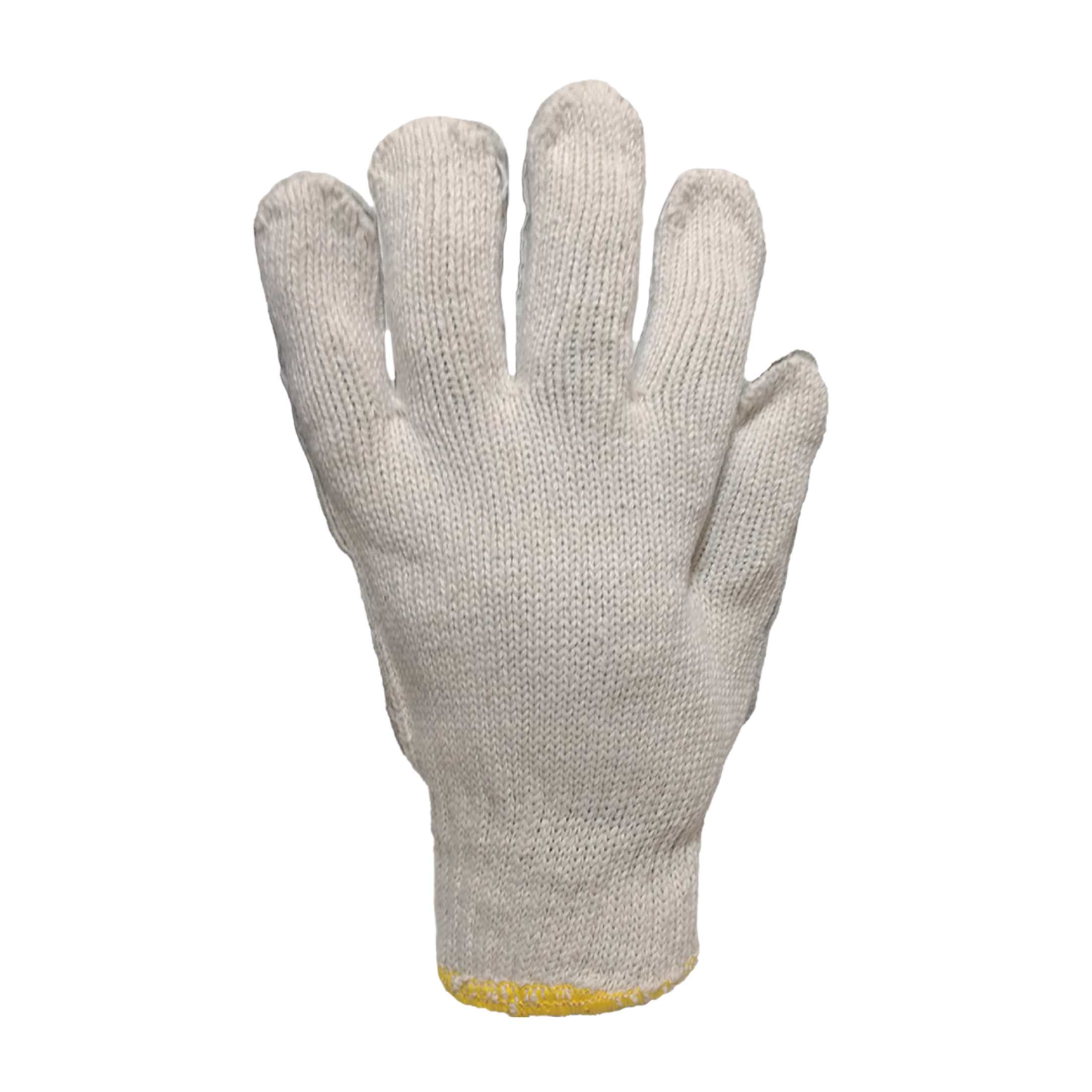 Tres Leones Seguridad