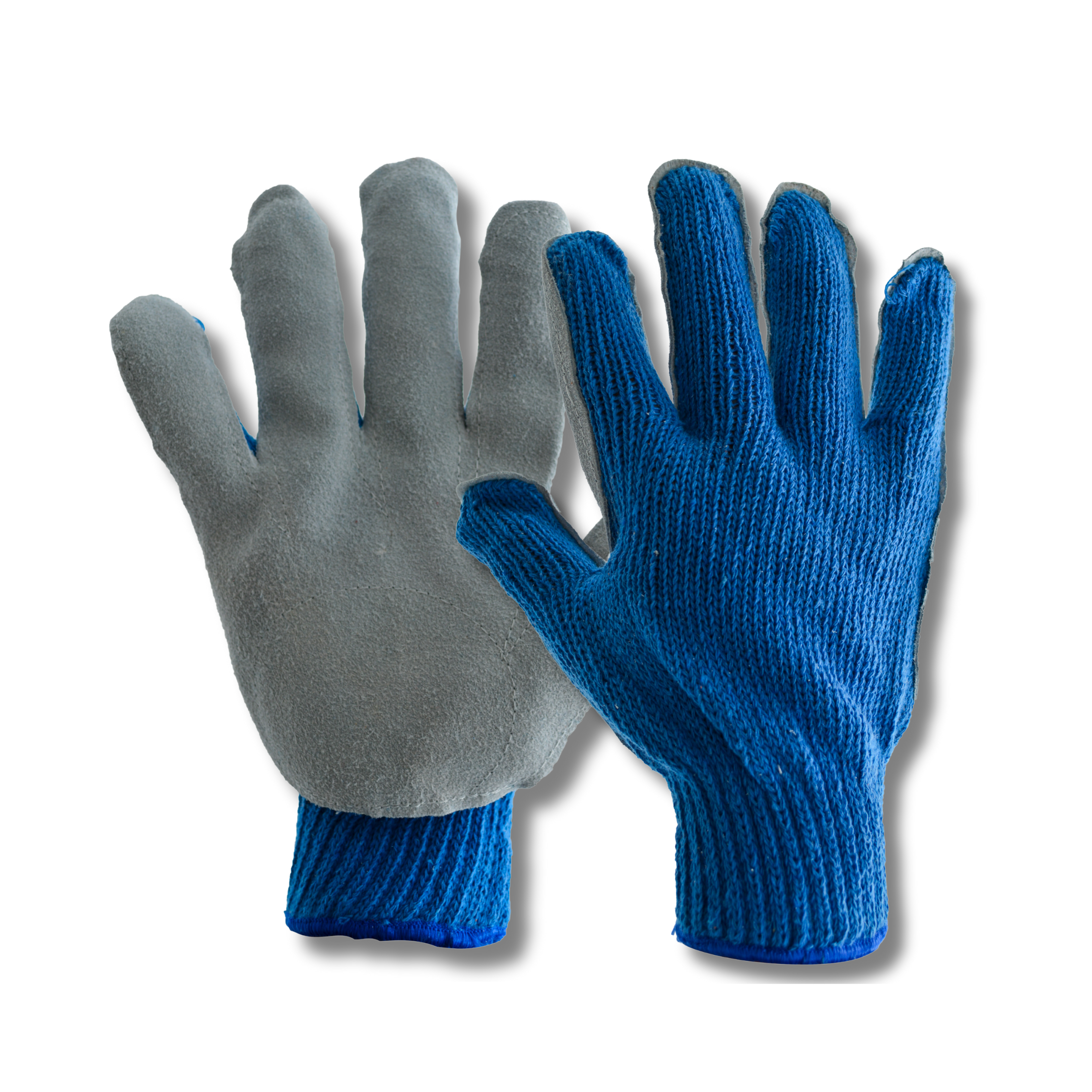 Tres Leones Seguridad