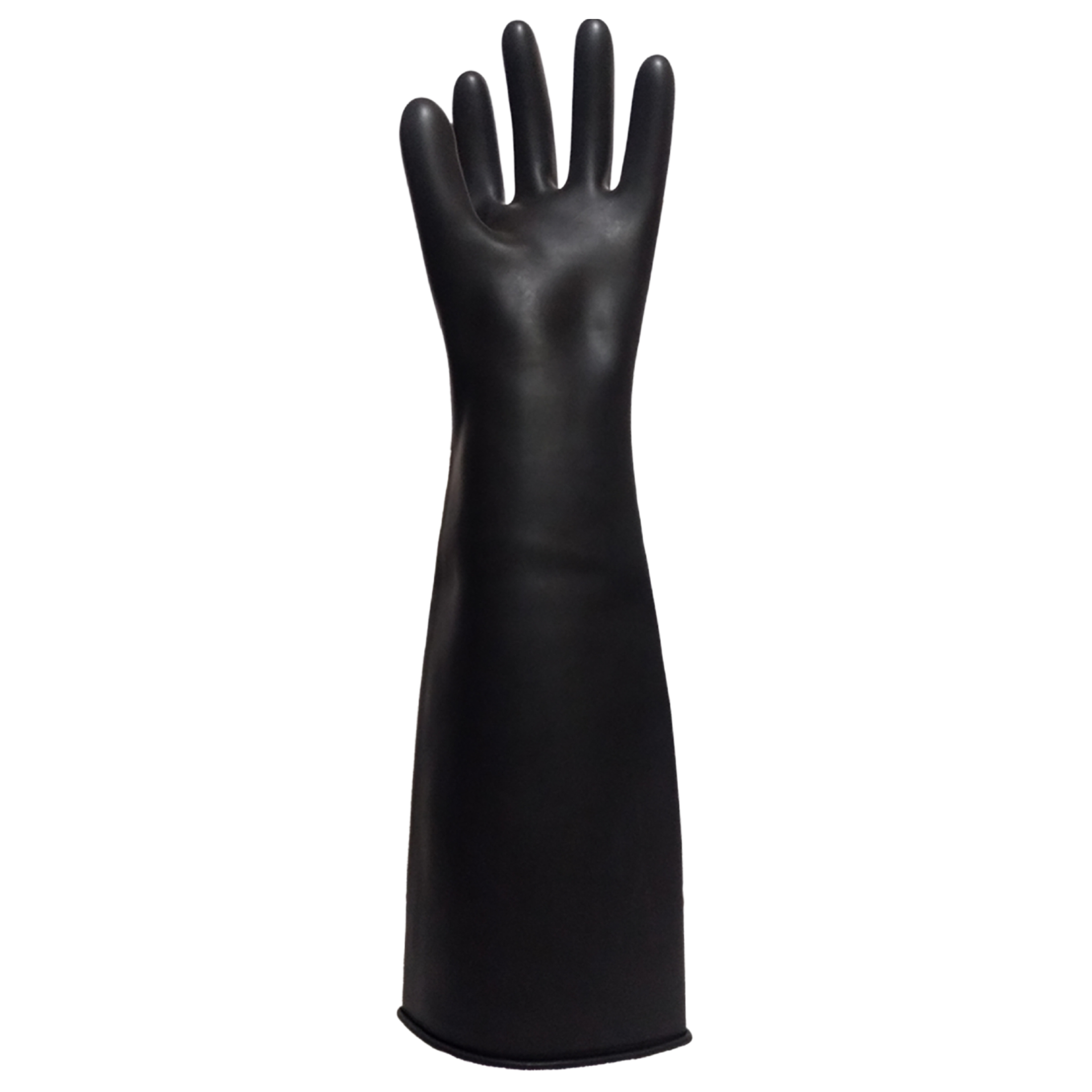 Tres Leones Seguridad